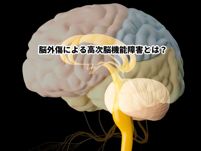 脳外傷による高次脳機能障害とは？症状・発生メカニズム